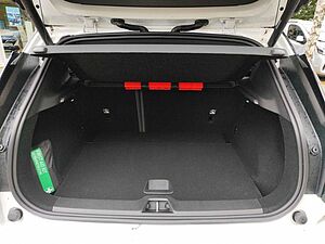 Volvo  Single Motor Extended Range Plus ***Pine***