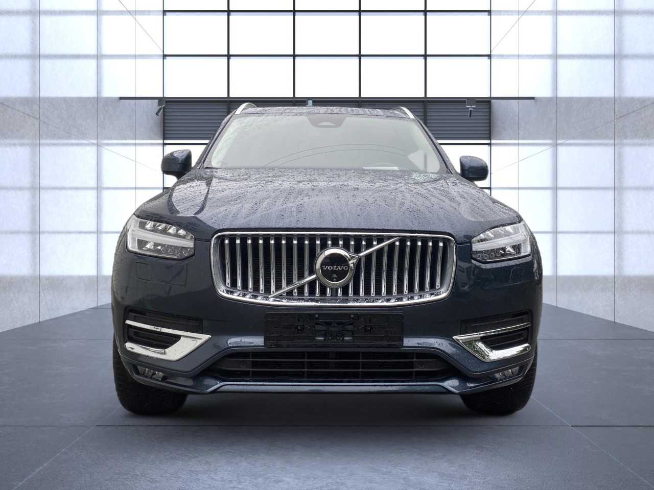 Volvo  XC90 Einparkhilfe el. Fenster