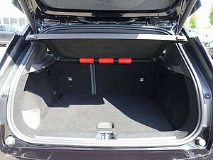 Volvo  Plus Twin Motor Performance Elektrisch/H&K