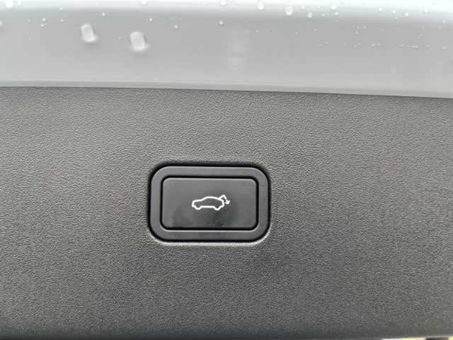 Volvo  Twin Motor Performance AWD Ultra Sitzheiz. ,Glasdach