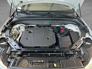 Volvo  22'