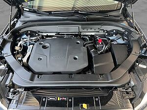 Volvo  19'