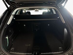Volvo  Ultimate Bright