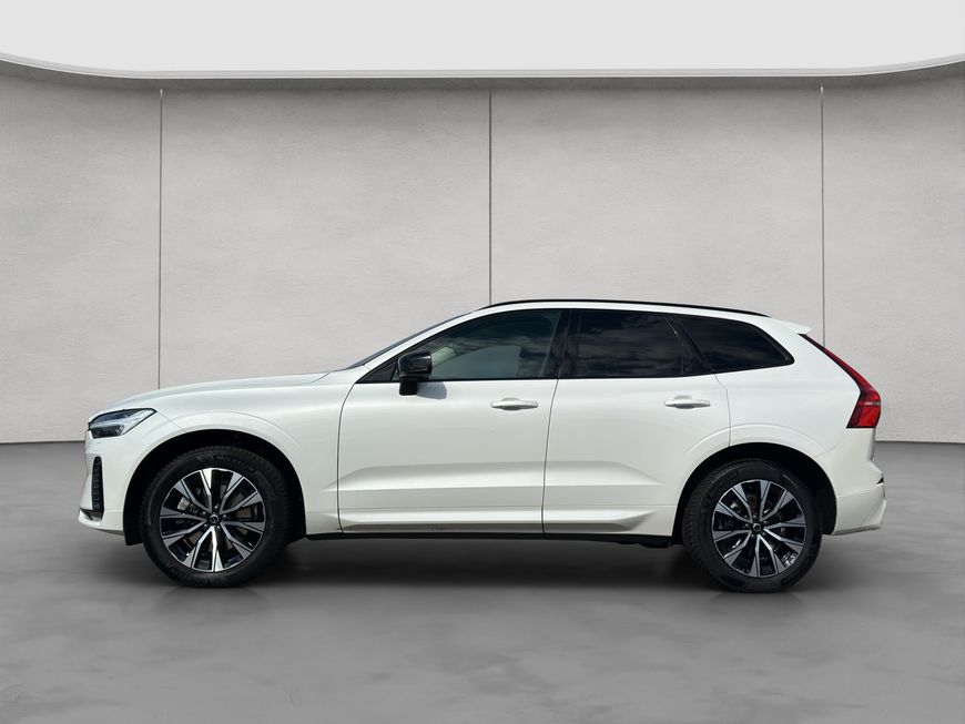 Volvo  19'