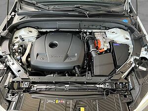 Volvo  20'