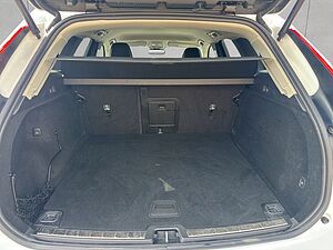 Volvo  19'