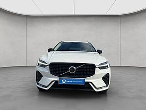 Volvo  19'