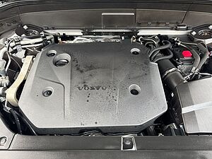 Volvo  Plus Bright