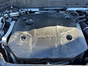 Volvo  Plus Bright