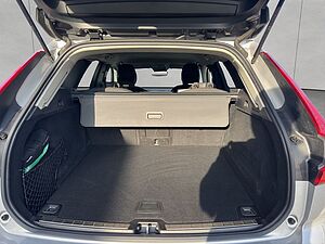 Volvo  19'
