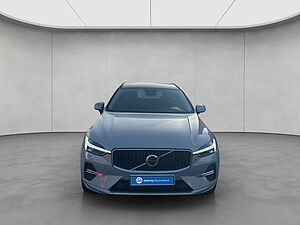 Volvo  19'