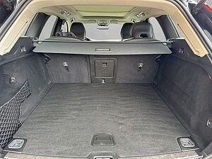 Volvo  19'