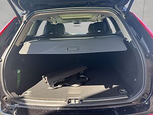 Volvo  Plus Dark