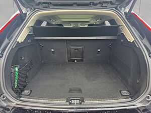 Volvo  19'