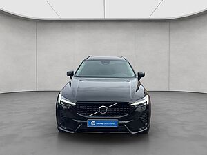 Volvo  19'