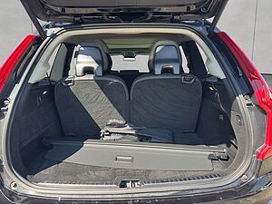 Volvo  Plus Bright