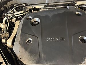 Volvo  19'