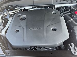 Volvo  19'