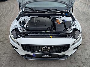 Volvo  19'