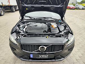 Volvo  19'