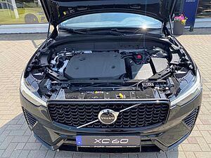 Volvo  21'