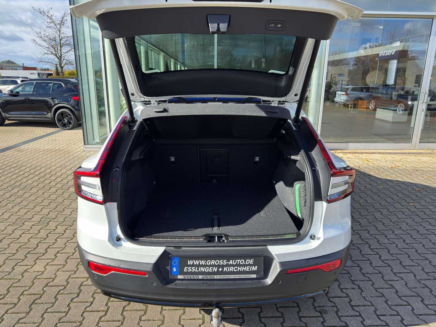 Volvo  Single Motor Ultimate