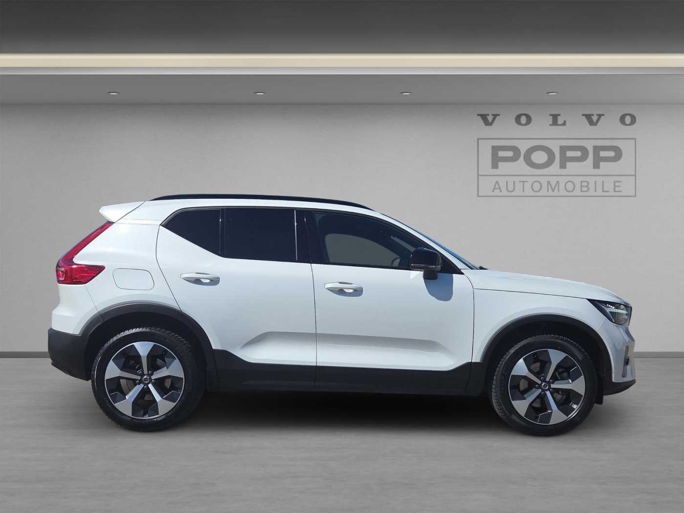 Volvo  19'