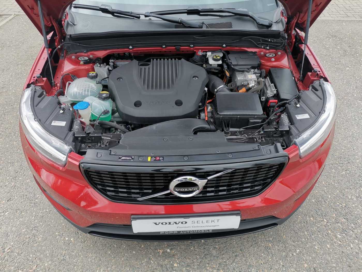 Volvo  19'