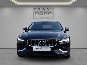 Volvo  19'