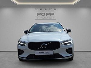Volvo  19'