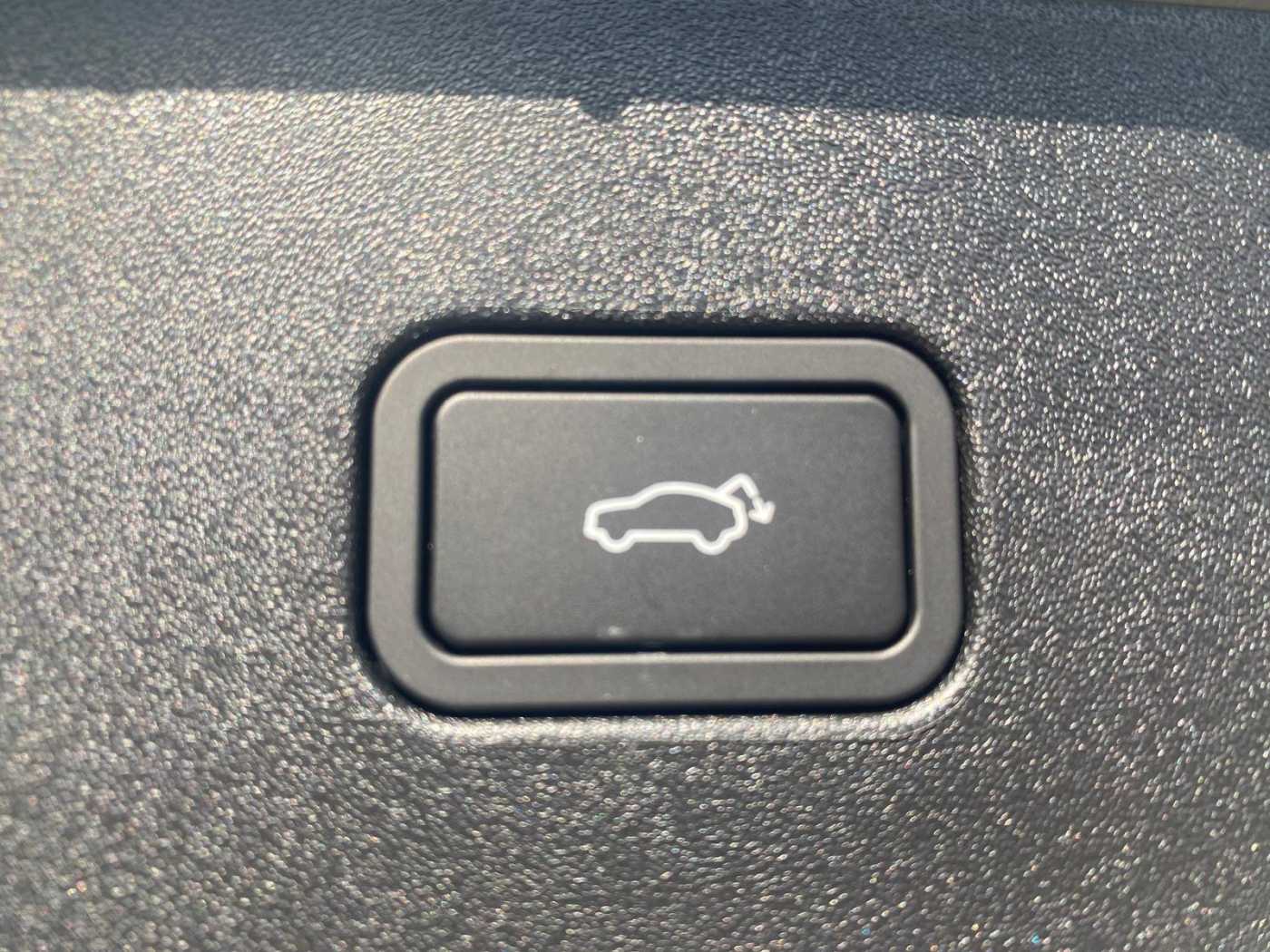 Volvo  19'