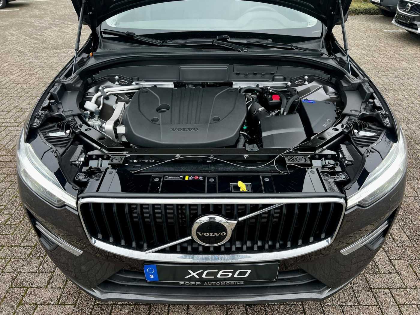 Volvo  20'