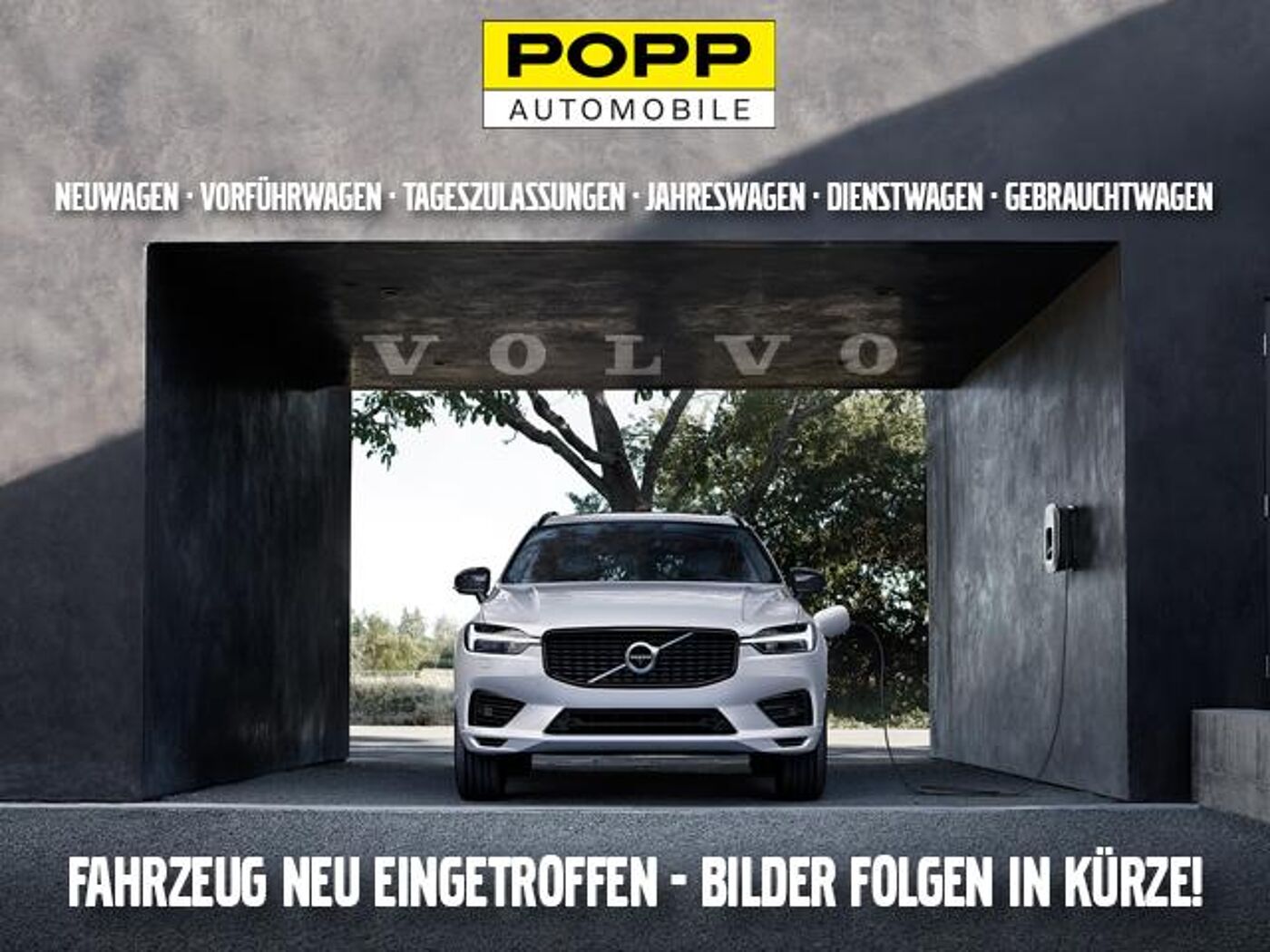 Volvo  19'