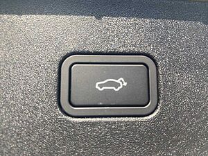 Volvo  19'
